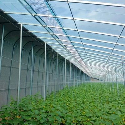 Trasforma la tua esperienza agricola con il sistema idroponico pomodoro cetriolo cetriolo