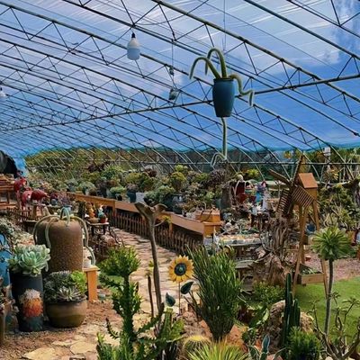 JX-A00160 Serra per irrigazione a goccia in galleria per l'agricoltura personalizzata per le vostre esigenze