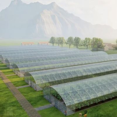 JX-A00160 Serra per irrigazione a goccia in galleria per l'agricoltura personalizzata per le vostre esigenze