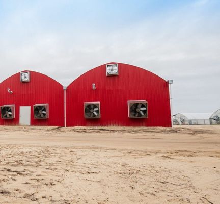Serra per i funghi per la produzione e la coltivazione su larga scala