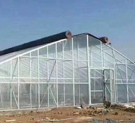 Serra per i funghi per la produzione e la coltivazione su larga scala