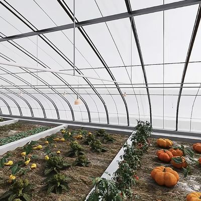 JX-A00162 Agricoltura innovativa Kit di serre per gallerie a archi Tempo di consegna stimato