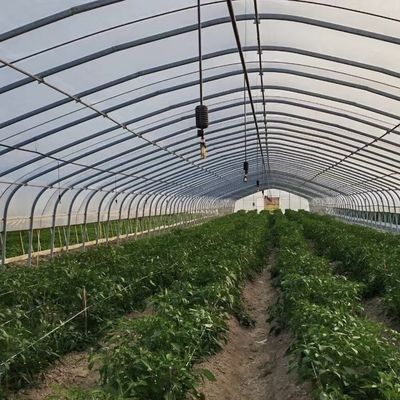 JX-A00162 Agricoltura innovativa Kit di serre per gallerie a archi Tempo di consegna stimato