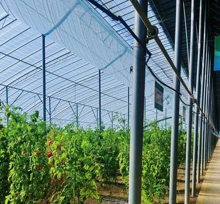 20GP 40GP 40HC Multi-Span PE Film Plastica Agricoltura Serra Kit per Multi-Span