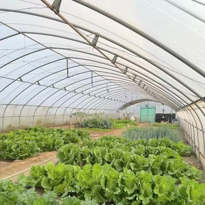 Offerta di pagamento iniziale del sistema di serre commerciale per il tunnel idroponico a prezzi accessibili