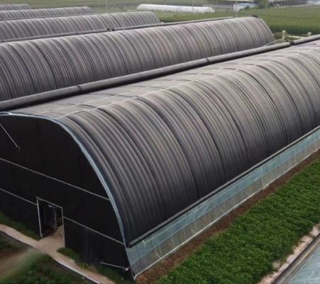 Sistema di coltivazione idroponica a tubo d'acqua multi-span per l'efficienza dell'acquacoltura in serra