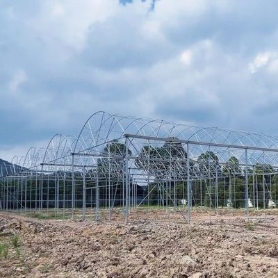 Sistema di coltivazione idroponica a tubo d'acqua multi-span per l'efficienza dell'acquacoltura in serra