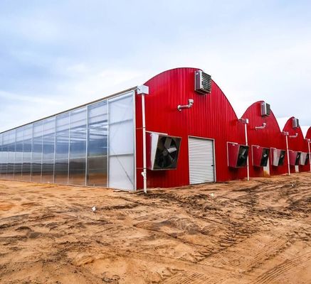 Sistema di coltivazione idroponica a tubo d'acqua multi-span per l'efficienza dell'acquacoltura in serra