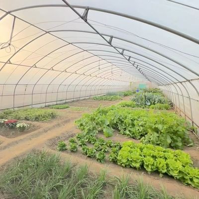 Rimborsi di 30 giorni Ricevi un rimborso per il nostro kit di serra per il tunnel agricolo multi-span
