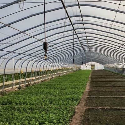Serra tunnel per verdure e pomodori Pacchetto dimensione 50,00cm * 60,00cm * 50,00cm