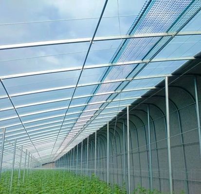 Origine Eco serra per pomodoro/capsicum/comero struttura in acciaio e costi di spedizione