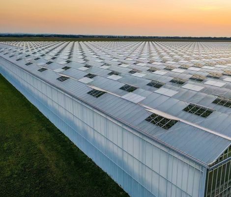 Origine Eco serra per pomodoro/capsicum/comero struttura in acciaio e costi di spedizione
