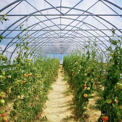 Origine cinese Archi a singolo raggio Serra Moneta USA per applicazioni commerciali