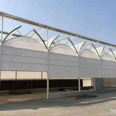 Serra commerciale multi-span di pomodori/fresche/lettuci con rivestimento in pellicola di plastica