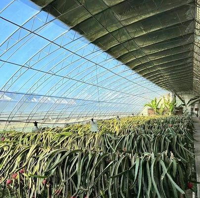 Serra commerciale multi-span di pomodori/fresche/lettuci con rivestimento in pellicola di plastica