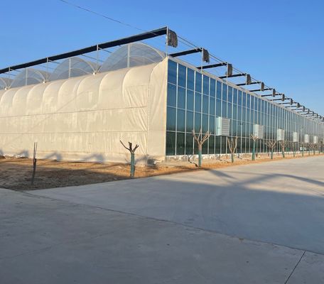 Serra commerciale multi-span di pomodori/fresche/lettuci con rivestimento in pellicola di plastica