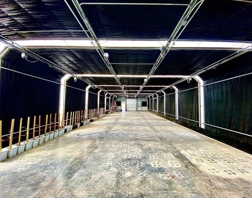 Serra commerciale multi-span con vista floreale finale e terrazza di vetro a righe