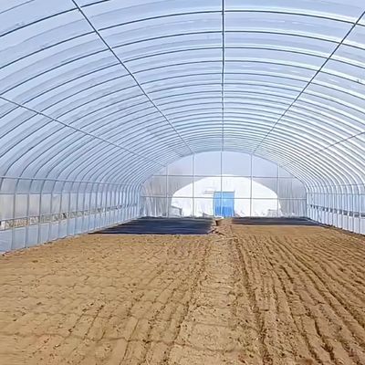 Dimensione del pacchetto: 50,00 cm * 60,00 cm * 50,00 cm Serra tunnel per agricoltura e ortaggi