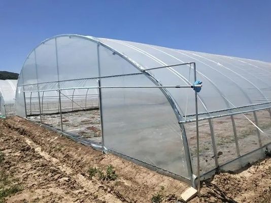 Sezione H Struttura in acciaio personalizzata Progettazione di serre per le esigenze del mercato americano Multi Span