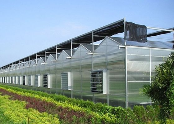 Sezione H Struttura in acciaio personalizzata Progettazione di serre per le esigenze del mercato americano Multi Span