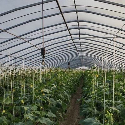 Serra per tubi d'acqua per l'agricoltura e per la coltivazione di ortaggi in serra