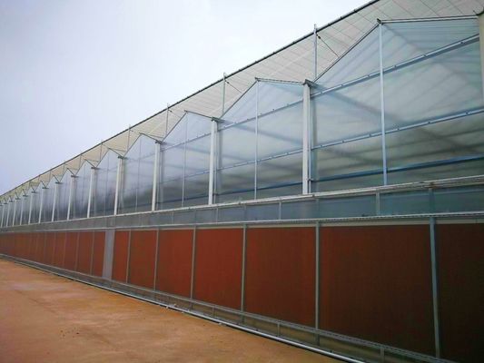 Serre commerciale per l'agricoltura con pellicola di plastica in PE