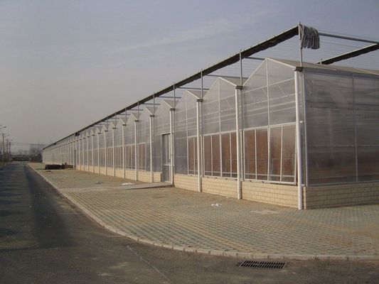 Tetti a forma di arco Eco serra per ortaggi/fabbricazione di piantine Riscaldamento dell'acqua calda