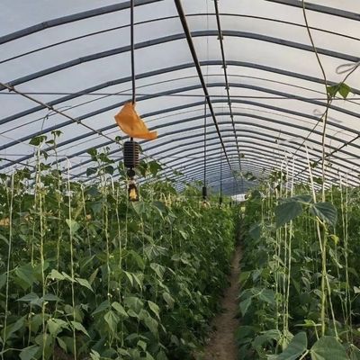 L'agricoltura per tutte le stagioni facilitata con il kit per la serra in grande galleria e il rivestimento con pellicola