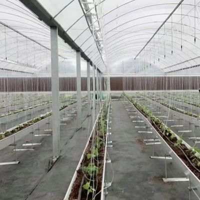 Serra multi-span con idroponica e campioni di pellicola di plastica US 20/mq