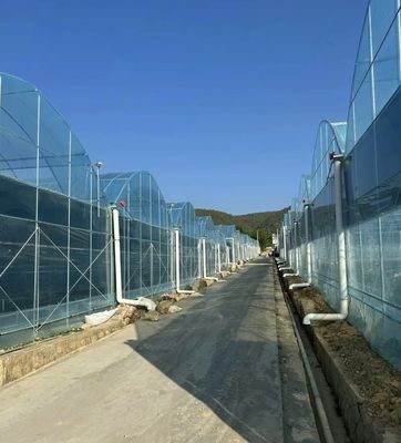 Serra a pellicola multi-span per agricoltura verticale