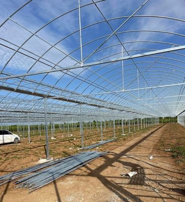Serra a pellicola multi-span per agricoltura verticale