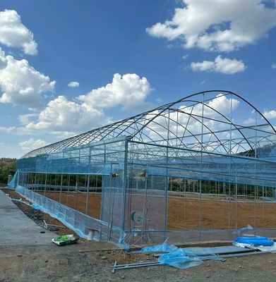 Serra a pellicola multi-span con raffreddamento/ombreggiamento/irrigazione