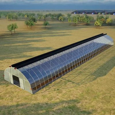 Sistema di coltivazione idroponica in serra con tunnel ad arco multi-span