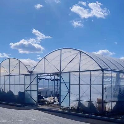 Sistema di coltivazione idroponica di ortaggi in serra multi-span per struttura in acciaio 20.000kg