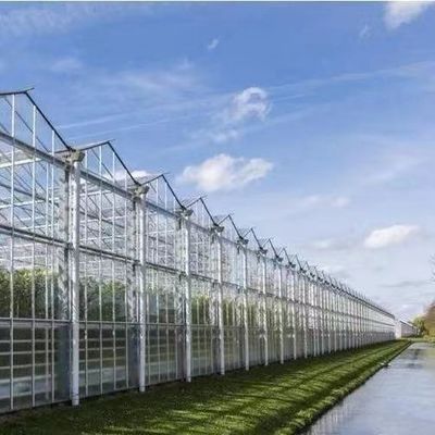 Serra a luce solare per piantare capsicum Metodo avanzato di coltivazione delle verdure