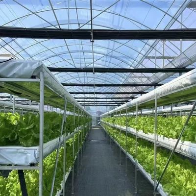 50.00cm * 60.00cm * 50.00cm Dimensione del pacchetto Sistema di irrigazione a goccia per tubi in PVC durevole