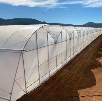 Serra a doppio arco personalizzata per verdure personalizzate alle vostre esigenze