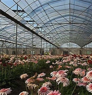 Rimborsi di 30 giorni per il sistema agricolo per tubi d'acqua nelle serre commerciali