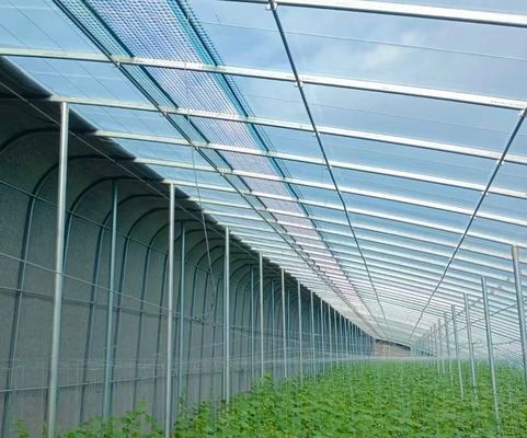 Pagamento iniziale Vibratore per neve Serra per l'agricoltura Metodo di riscaldamento non riscaldato