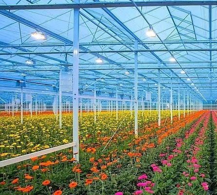 Pagamento iniziale Vibratore per neve Serra per l'agricoltura Metodo di riscaldamento non riscaldato
