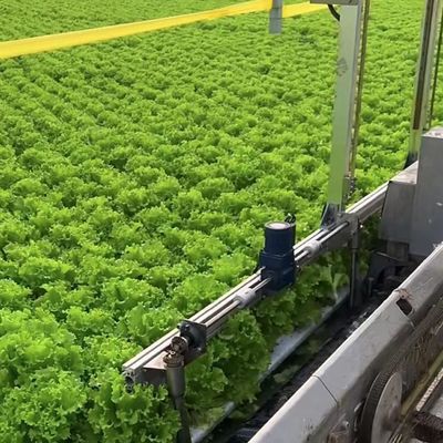 Agricoltura Sistema di coltivazione verticale a serre a film di plastica