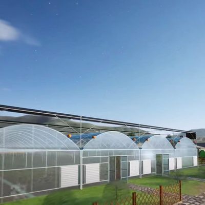 Kit serra per irrigazione a goccia idroponica rivestita con pellicola 20.000 kg Peso lordo del pacchetto