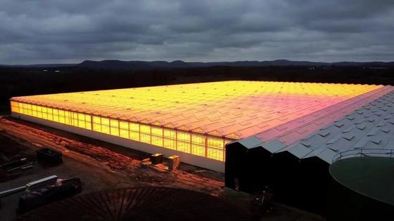 Coltivazione di funghi a tetto ad arco Luce solare Serra pacchetto Peso lordo 1000.000kg