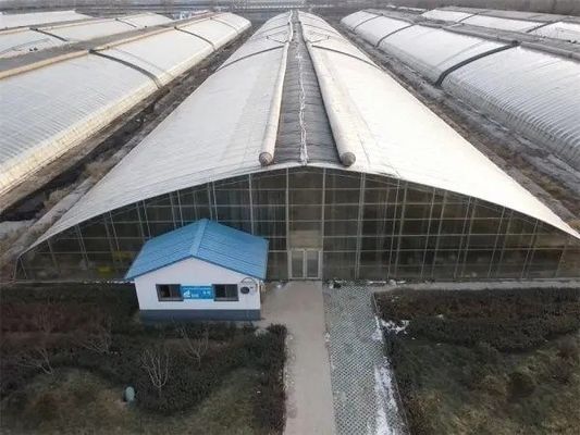 Vibratore per la neve per la coltivazione di verdure in serra