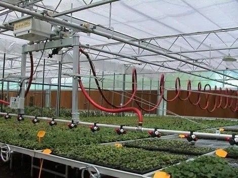 Origine Serra a doppio arco per capsicum Costo di spedizione e produzione Serra