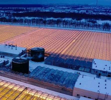 Vibratore di neve personalizzato Serra per la piantagione di pomodori singolo o multi-Span grande