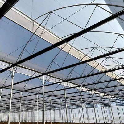 Vibratore di neve personalizzato Serra per la piantagione di pomodori singolo o multi-Span grande