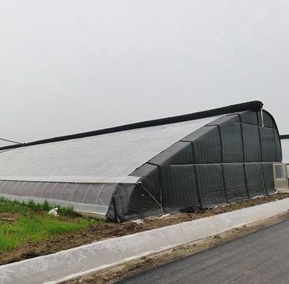Serra di acciaio di plastica a doppio arco per la progettazione delle verdure