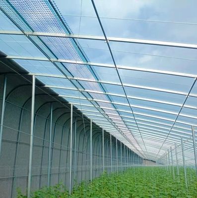 Serra a doppio arco per la coltivazione di pomodori e cetrioli di grandi dimensioni