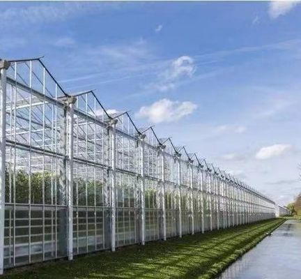 Serra a doppio arco per la coltivazione di pomodori e cetrioli di grandi dimensioni